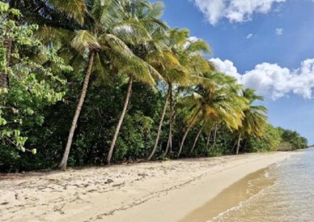 Touloukaera Appt 303 Plage Kawann Saint-Louis Екстериор снимка