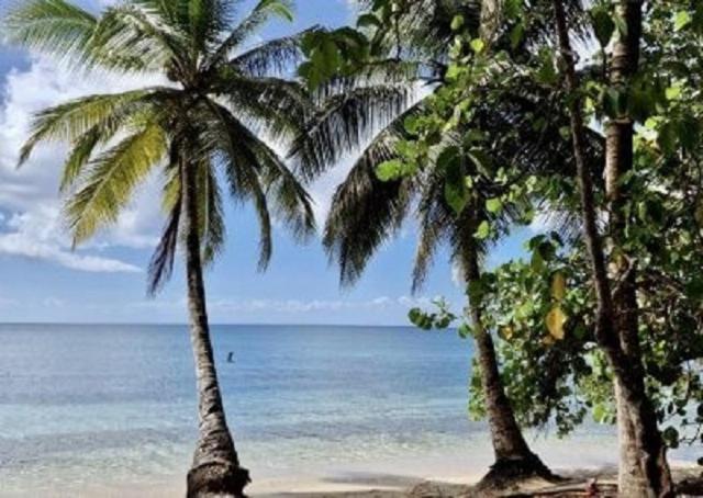 Touloukaera Appt 303 Plage Kawann Saint-Louis Екстериор снимка